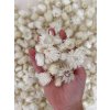dried everlasting flowers helichrysum vestitum straw flowers heads 100g white