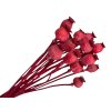 makovice prirodne poppy dried susene červené red
