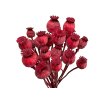 makovice prirodne poppy dried susene červené red1