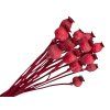 poppy heads natural poppy dried red red