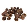 Pine cones of mountain pine 150g natural brown