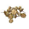 Dried pine cone flowers Plumosum with stem natural (2)
