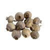 Dried poppy heads large 10pcs natural grey
