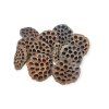 Dried Lotus flowers 10cm 11pcs - natural