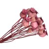 makovice prirodne ružové poppy dried natural pink