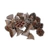 Sušené Lotosové kvety 4-6 cm 25ks - prírodné