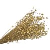 Linum dried flax silver golden gold