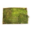 Natural forest moss slices 700g - green
