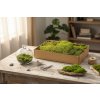 Natural forest moss slices 700g - green