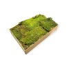 Natural forest moss slices 700g - green