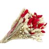 dried bouquet red white