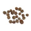 Dried Galpini pinecones 110 g – natural Proteaceae decorations (2)