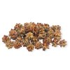 Dried Pubescens cones 260g natural