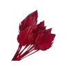 palm leaf leaves small red palm leaves red
