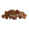 Dried pine cones Sabulosum 180g natural
