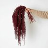 amaranthus pendant amaranth dark red (1)