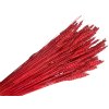 psenica wheat susene obilie jasne cervene red bright