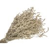 Dried flowers dried flowers Aerva Javanica desert cotton natural natural