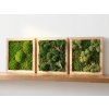 Wooden frame for moss pictures square 30cm