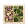 Wooden frame for moss pictures square 20cm