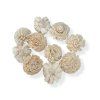 shola flower ming flower 6cm natural white cream