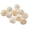 shola flower ming kvet 6cm natural white biele kremove3