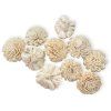 shola flower ming flower 6cm natural white creamy3