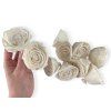 shola flower ming flower 6cm rose rose3