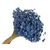 glixia 50g blue