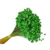 glixia 50g green