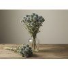 Dried thistles Echinops sphaerocephalus 100g - natural