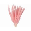 pampas mini pink1