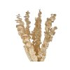 eucalyptus baby beige1