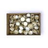 quail eggs real shells box true quail eggs shells1
