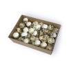 Real Quail Eggshells Box