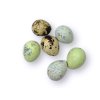Quail eggs box mint quail eggs green3