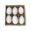 white goose eggs true goose eggs shells true 8cm2