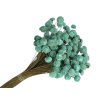button yellowish dried flowers mint turquoise turquoise