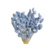 dried flax linum pastel blue1