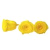 preserved rose stabilized yellow preserved roses yellow2