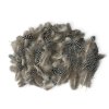 guinea fowl feathers