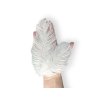 white ostrich feathers1