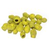 dried eucalyptus pods bell gum yellow
