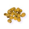 dried eucalyptus fruits eucalyptus pods bell gum orange