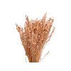 Dried Fruit Avena Dried Oat Powder Apricot Peach