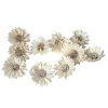 Arrangement Shola Flowers Gerbera 6cm 10pcs - Cream