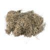 Spanish moss 140g Tillandsia – natural green-grey