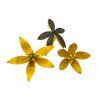 Dried Wild Lily Flowers 15pcs - Yellow
