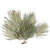 Dried Palm Leaves Soft Fan - 30cm, 10 Pcs, Natural