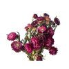 Dried Helichrysum Strawflowers - 100g Bunch - Dark Pink